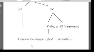 Catégorie grammaticale fonction sémantique valence syntagme position [upl. by Niple]