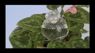 Canterbury Crystal Globes Commercial Canterbury Crystal Globes As Seen On TV Plant Watering Globes [upl. by Eedolem]