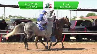 Cuadra Huitron vs Cuadra LE [upl. by Zinnes]