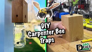 How To Make A Simple Carpenter Bee Trap  Dad Deals [upl. by Okimat]