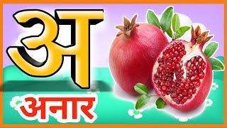 अ से अनार आ से आम।। a se anar aa se aam। a for apple। क से कबूतर। हिन्दी वर्णमाला। वर्णमाला कार्टून [upl. by Gelman]