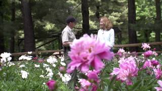 Seneca Creek State Parks Peonies Are in Bloom VIDEO [upl. by Aisela]