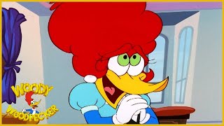 Woody Woodpecker Show  Aunt Pecky  1 Hour Compilation  Full Episodes [upl. by Ahsekel393]