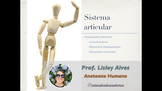 4 Articulação sinoviais elementos  Sistema articular  prof Lisley [upl. by Midan144]