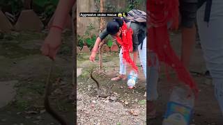 Aggressive checkered keelback snake rescue 😱🐍 [upl. by Bohaty]