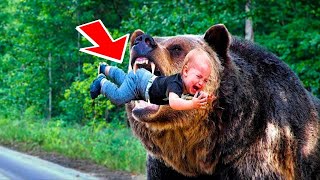 The bear grabbed the baby with its powerful jaws and then something shocking happened [upl. by Jonah98]