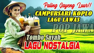 Koplo Campursari POP Jawa Gayeng Seindonesia 2024  Jalan Pegunungan Wonosobo Jawa Tengah [upl. by Georgena]