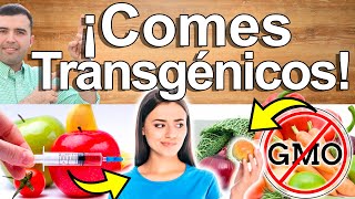 COMES TRANSGENICOS Y NO LO SABES  10 Alimentos Veneno Geneticamente Modificados Que Comes a Diario [upl. by Wilburt]