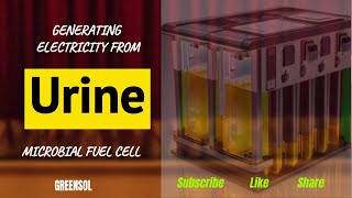 Generating Electricity from Urine using Microbial Fuel Cells [upl. by Asirac]