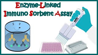 ELISA  Enzyme linked immonosorbent assay  ELISA test  Types of ELISA  Direct and Indirect ELISA [upl. by Aviv]