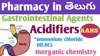 Gastrointestinal Agents acidifiers in తెలుగు  bpharm 1st sem  inorganic chemistry unit 3 [upl. by Evelinn]