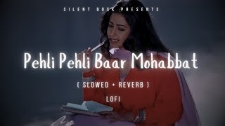 Pehli Pehli Baar Mohabbat Slowed  Reverb  Kumar SanuAlka Yagnik  lofi hindisongs lyrics [upl. by Kralc]