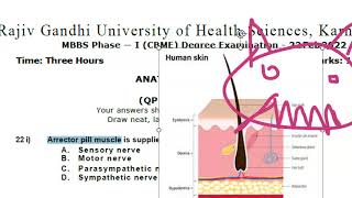 Anatomy 702 Arrector Pili Muscle Sympathetic Nerve PiloMotor Solved Question Paper MCQ [upl. by Irallih]