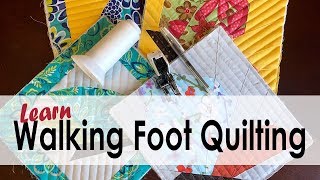 Easy Walking Foot Quilting Designs with On Williams Street [upl. by Polk]