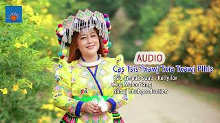 Cas Tsis Txawj Txia Txawj Plhis AUDIO By Malee Yang [upl. by Zolly]