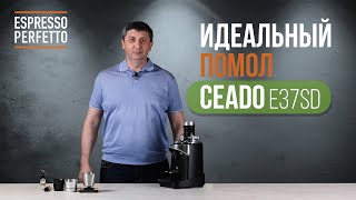 Видеообзор кофемолки Ceado E37SD [upl. by Rochemont]