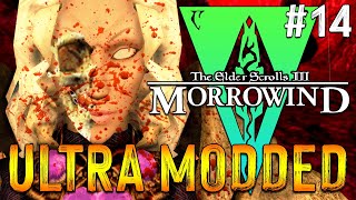 Lets Play Modded Morrowind  The Adventures Of Qa Dojetta  14 [upl. by Elades166]