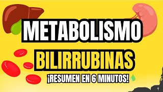 METABOLISMO DE LAS BILIRRUBINAS  FISIOLOGÍA DE GUYTON [upl. by Ehcnalb183]