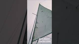 Wind Storm Time for a SAIL [upl. by Bough]