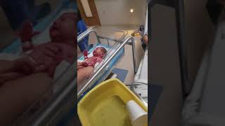 Newborn baby girl getting bath at hospital kaiser crying [upl. by Eiznekam874]