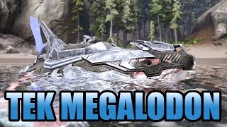 TEK MEGALODON UPDATE TERBARU DAN MEMBURU BURUNG  ARK SURVIVAL EVOLVED INDONESIA [upl. by Emina]