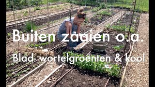 Inis Moestuin 182  Buiten zaaien blad en wortelgroenten kool Binnen zaaien o a courgette [upl. by Margret]