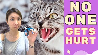 How To Clip Cat Nails Alone Difficult Cat [upl. by Eeladnerb]