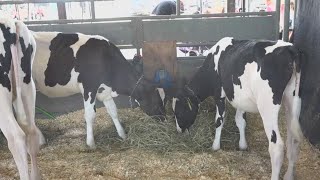 Skowhegan State Fair returns for 206th year [upl. by Zile800]