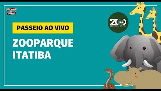 PASSEIO AO VIVO NO ZOOPARQUE ITATIBA [upl. by Yntrok]