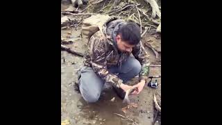 beautiful brown trout from the bushkill creek Easton pa [upl. by Nahtnhoj375]