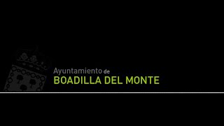 PLENO BOADILLA DEL MONTE [upl. by Paquito]