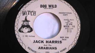 Jack Harris amp The Arabians  45 rpm Record  Dog Wild  Howling RampB [upl. by Asiuol408]