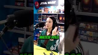 Maltese Problems shorts podcast malta comedy standupcomedy interview funny maltese lol [upl. by Dnomsad]