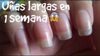 Como hacer crecer las uñas uñas largas en 1 semana [upl. by Rhys]