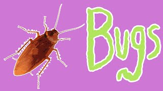 Bad Bugs  Insect Pests for Kids [upl. by Libbna]