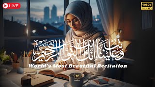 LISTEN DAILY Lofi Quran Melodious  Worlds Most Beautiful Recitation for SleepStudy  Adhkar TV [upl. by Giarc]