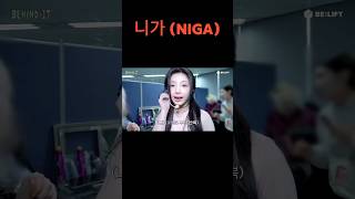 NIGA 네가 Means quotYouquot PART 1wonhee illit korean black niga nega blackpeople blackpeoplememes [upl. by Dust759]