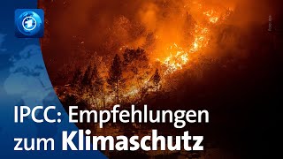 WeltklimaratBericht Was Expertinnen gegen die Klimakrise empfehlen [upl. by Oby]