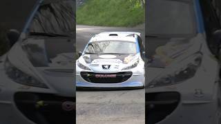 RALLY PREALPI OROBICHE 2024  PEUGEOT 207 SUPER 2000 COLOMBI ildiretta noirally rally peugeot [upl. by Tnerb]