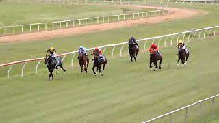 Mareeba 11052024 Race 1 [upl. by Zamora351]