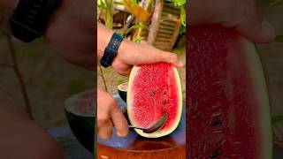 Ripe watermelon cutting very fresh l satisfying natural watermelon flavor reels like love top [upl. by Anehsuc]