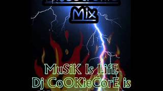 12 DJCookiecore  Discotronic Mix 2010 [upl. by Doughman]