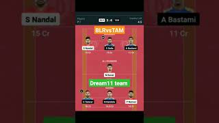 BLRvsTAM Dream11 team  PKL Season11  shorts dream11 pkl11 blrvstam [upl. by Boylan]