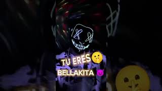 HALOWEEN PERREO Alex 2A  video lyrics [upl. by Neirod]