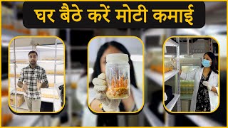 आसानी से कीड़ा जड़ी मशरूम उगाएं bhartiyakisaanbk  cordyceps mushroom  Bhartiya Kisaan [upl. by Ai]