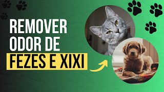 Remover odor de xixi de cachorro ou gato Solução eficaz para eliminar cheiro de urina de cachorro [upl. by Eilitan148]