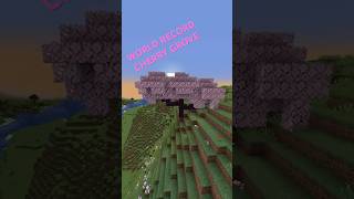 MY WORLD RECORD minecraft worldrecord worldrecordcherrygrove gaming [upl. by Yadsendew]