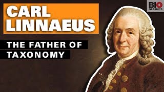 Carl Linnaeus The Father of Taxonomy [upl. by Ynaffit]