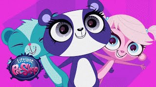 Littlest Pet Shop  Wont Have to Look Too Far Official Music Video [upl. by Lilli]