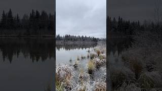 Bear Lake with snow in Eielson AFB Alaska during early October 2024 [upl. by Euqnimod229]